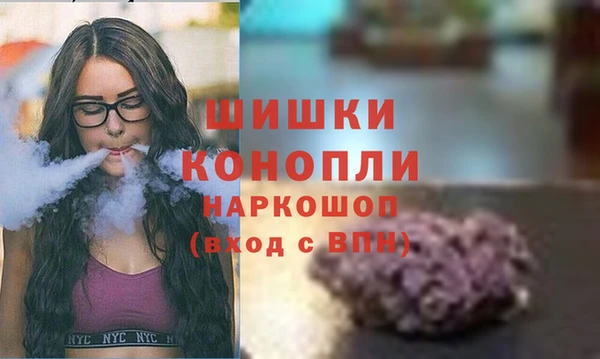 PSILOCYBIN Алзамай