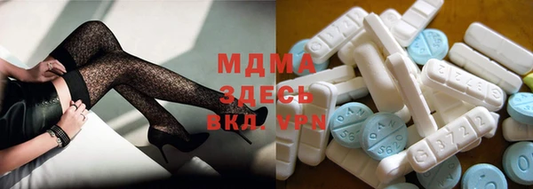 PSILOCYBIN Алзамай