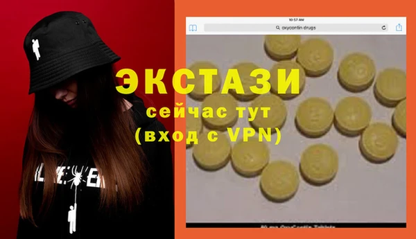 PSILOCYBIN Алзамай