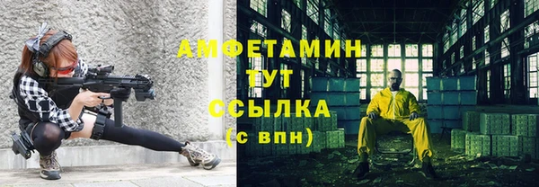 амф Алексин