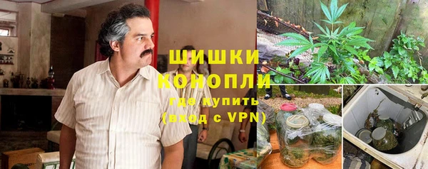PSILOCYBIN Алзамай