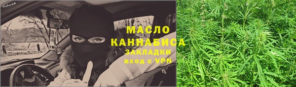 PSILOCYBIN Алзамай