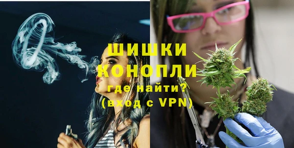 PSILOCYBIN Алзамай