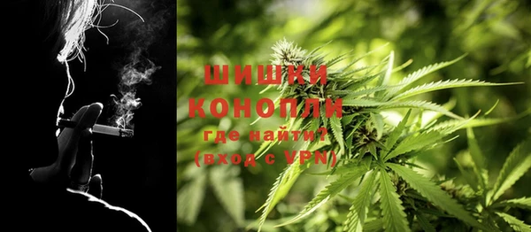 PSILOCYBIN Алзамай
