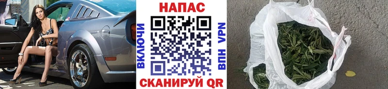 МАРИХУАНА планчик Пущино